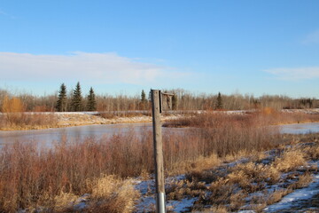 Winter On The Wetlands