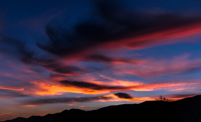 Atardecer de viñedo