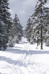 Winter mountain landscape. Trees in forest covered with hoarfrost and snow. Jizera Mountains, Jakuszyce, Poland, Europe.