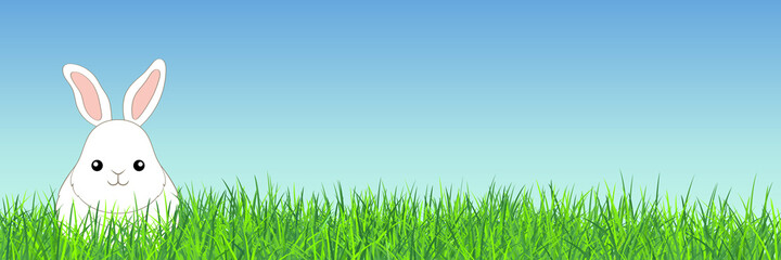Fototapeta premium White Rabbit in the Grass. Vector Illustration with Cute Cartoon Style Bunny.