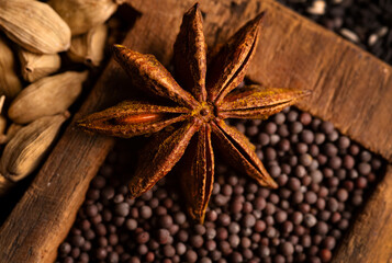 Star Annice and Mustard seeds 