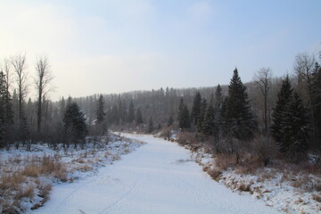 Frozen Creek, Whitemud Park, Edmonton, Alberta