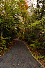 Walking Trail
