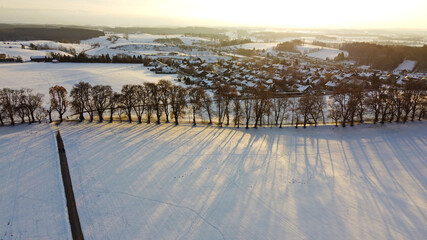 Luftaufnahme mit einer Drohne von einer Allee mit Bäumen im Sonnenuntergang im Winter 
