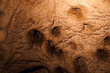 Ceiling wart formations in the cave.