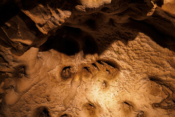 Ceiling wart formations in the cave.