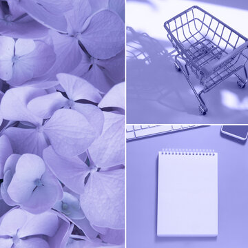 Creative collage in trendy very pery color of the 2022