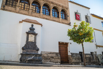 Fuente Córdoba