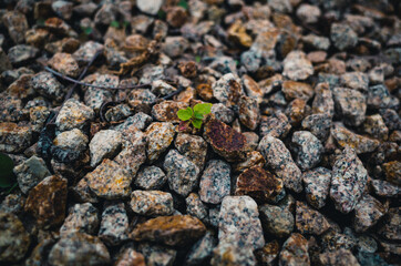 close up of rocks