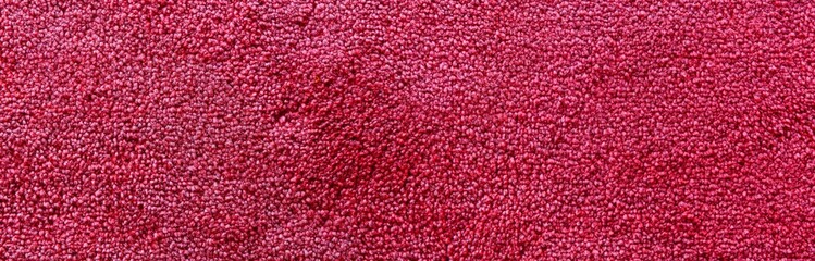 Panorama of New red carpet fabric texture and background seamless