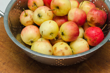 ripe small apples in a colander