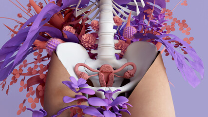Medical illustration of female reproductive system with the uterus, cervix, ovaries, fallopian tube. Human anatomy.

