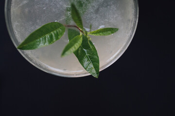 top down close up of lemon verbena leaves in cocktail drink