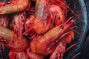 close up of red orange spot prawns in bowl