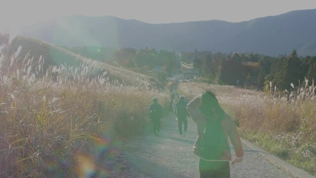 People walking in a susuki Chinese silver grass field in Hakone, Japan