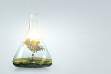 Tree growing inside clear glass bottle