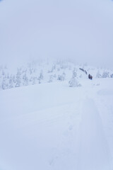 山スキー　八甲田山