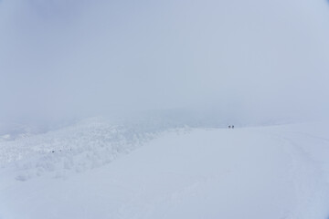 山スキー　八甲田山