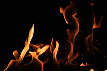 Fire flames on black background. lights on a black background.