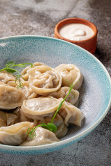 Meat dumplings with spices on a plate with greens against the background of a gray stone table