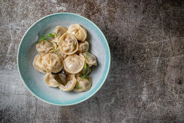 Meat dumplings with spices on a plate with greens against the background of a gray stone table