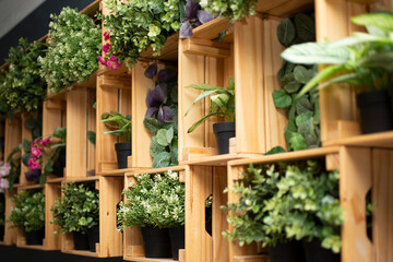 A view of a wooden wall mount design filled with an array of plastic indoor plants.
