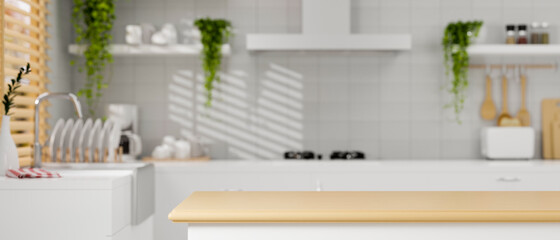 Comfortable minimal kitchen space with kitchen countertop