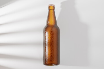 Cold Beer Bottle