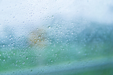 Water drop in rainy season.