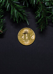 a bitcoin bitcoin on a dark background with a branch of a Christmas tree. minimalistic composition. Concept gift for Christmas and New Year. Copy space