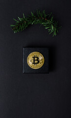 a bitcoin bitcoin on a dark background with a branch of a Christmas tree. minimalistic composition. Concept gift for Christmas and New Year. Copy space