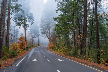 Fototapeta premium Fall Season Colors With Dense Smoke in Yosemite Park