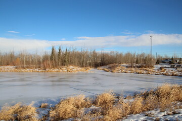 Frozen Waters, Pylypow Wetlands, Edmonton, Alberta