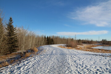 Sunny Winter Day On The Trail, Pylypow Wetlands, Edmonton, Alberta