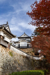 天空の城　備中松山城天守閣と紅葉　国指定重要文化財