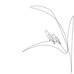 Birds silhouette line drawing vector illustration