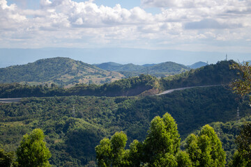 landscape with trees and clouds