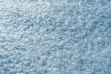 Fresh snow background texture. Winter background with big beautiful snowflakes.