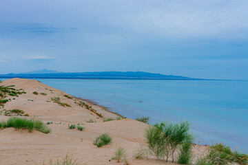 view of the beach