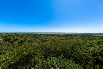Fototapeta na wymiar Wide angle shot of the spectacular open savannah in the background at Kruger national park South Africa. Place for Text.