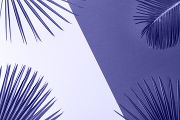 Tropical palm leaves background, vacation summer holiday concept