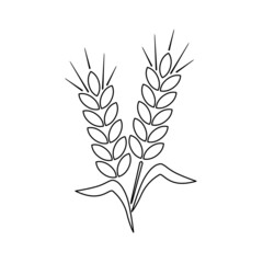 The icon of the ear of the outline. Outline of two spikelets of grain grain. A symbol of agriculture. Vector illustration isolated on a white background for design and web.