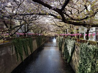 Photos form japan. Toyoko, Hiroshima, Nagasaki