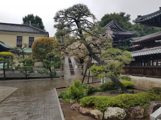 Photos form japan. Toyoko, Hiroshima, Nagasaki