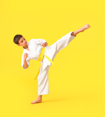 Little boy practicing karate on color background © Pixel-Shot