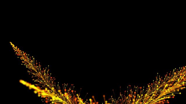 Stylish animation of bright branches dynamically growing on a black background and forming an elegant frame. Magical fabulous vegetation. The perfect background and element of any design