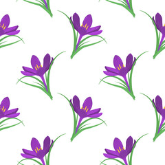 vector pattern with purple crocuses on a white background. Spring flowers
