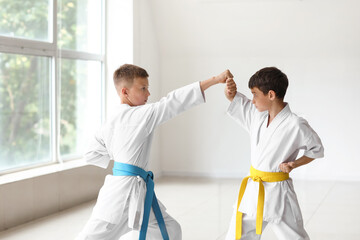 Little boys practicing karate in gym