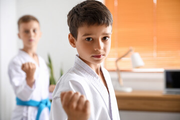 Little boys practicing karate at home