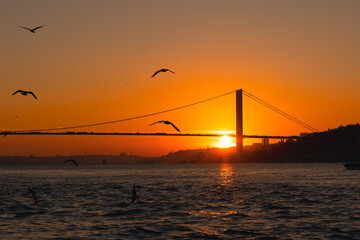 Bosphorus Bridge. Silhouette of Bosphorus Bridge and seagulls in Istanbul